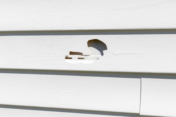 Professional Siding Installation & Repair in Tehachapi, CA