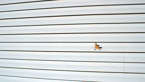 Best Siding for Multi-Family Homes  in Tehachapi, CA